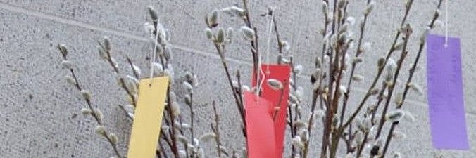 Weidenkätzchenzweige behangen mit Fastenwünsche