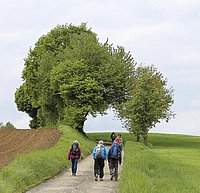 Pilgerer auf dem Weg