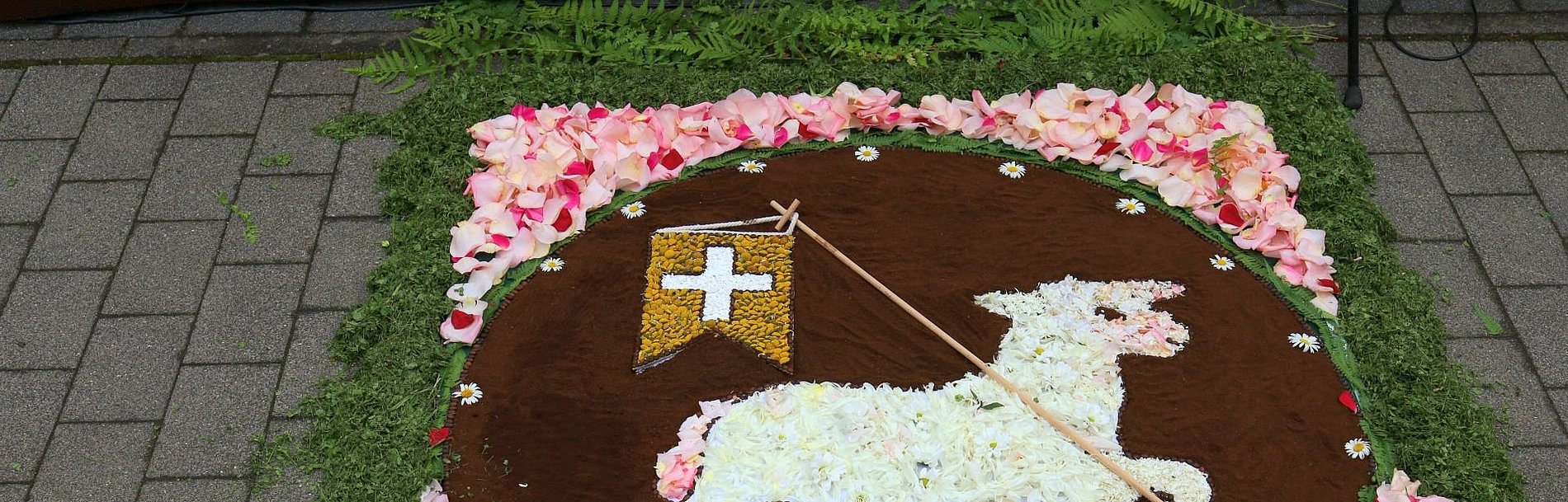 Blütenteppich