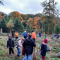 Gemeinsam Zeichen setzen: Idsteiner Wald erhält Infotafel