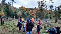 Gemeinsam Zeichen setzen: Idsteiner Wald erhält Infotafel