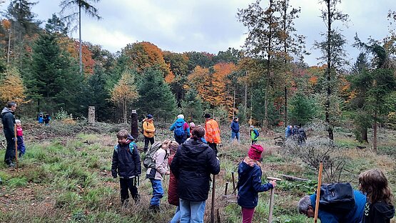 Kinder und Erwachsene planzen Baumsetzlinge im Wald.