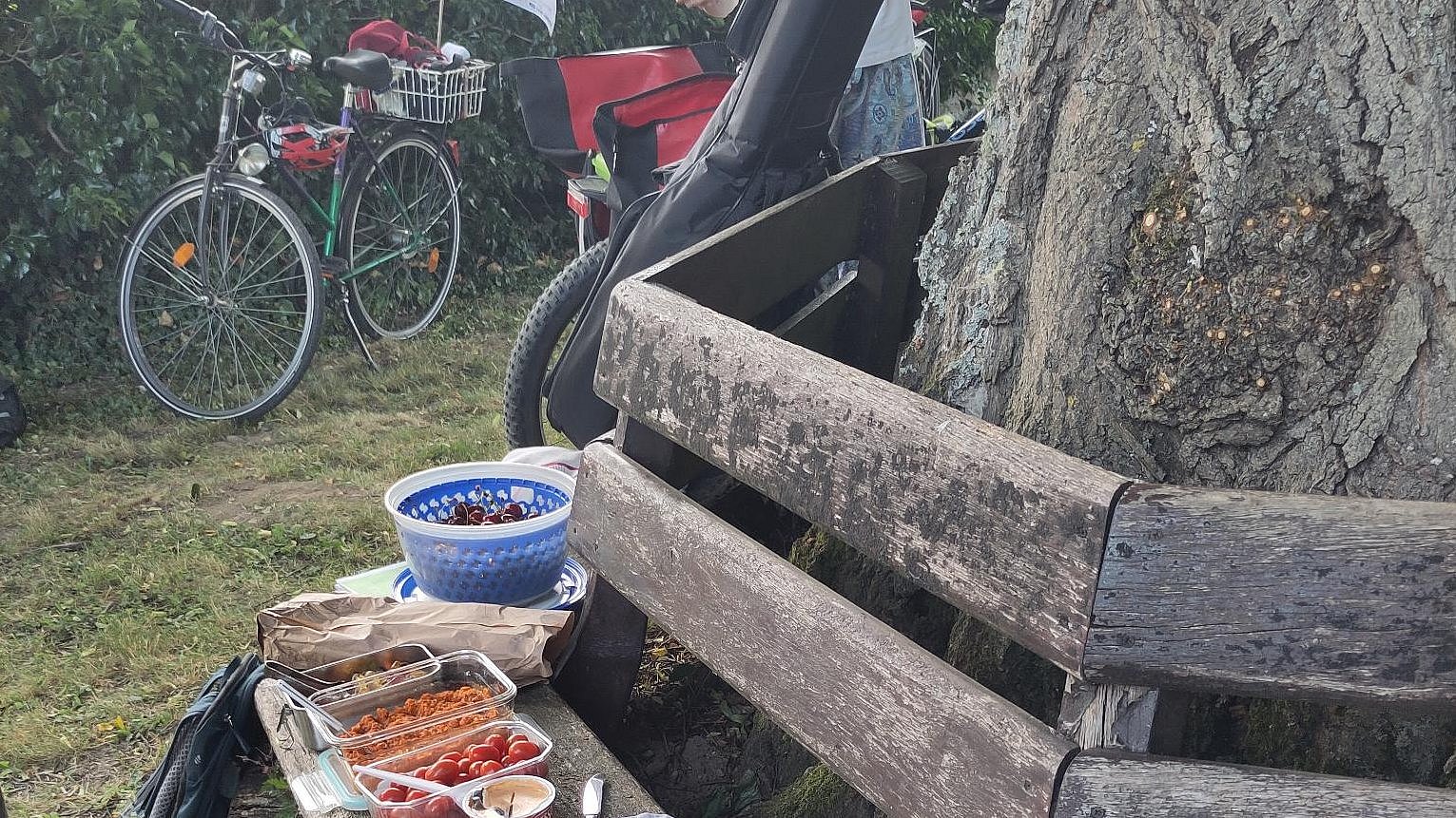 Picknick an einer Linde