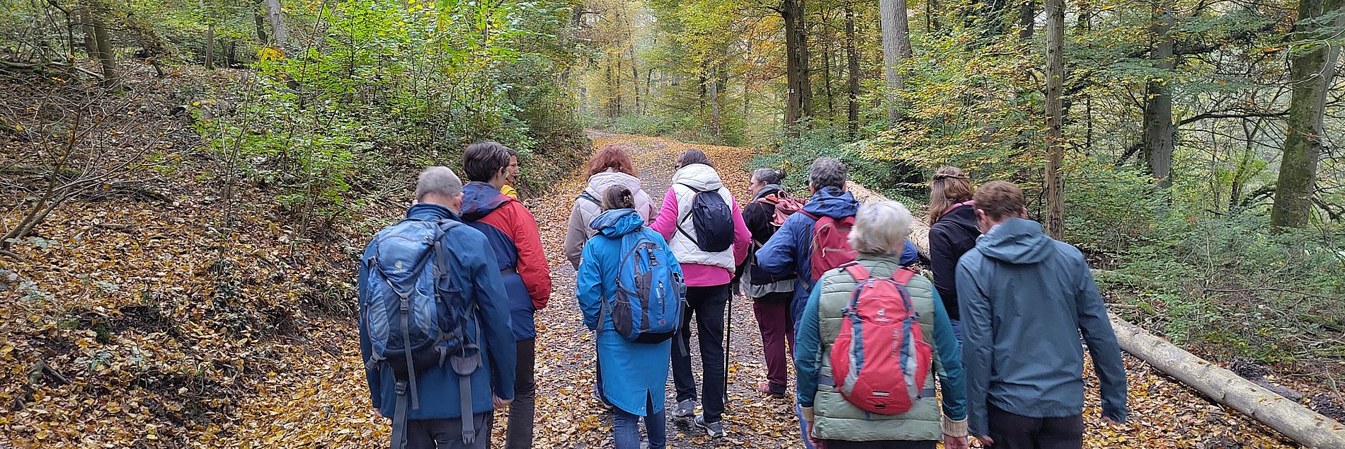 eine Gruppe Spaziergänger läuft durch den Wald