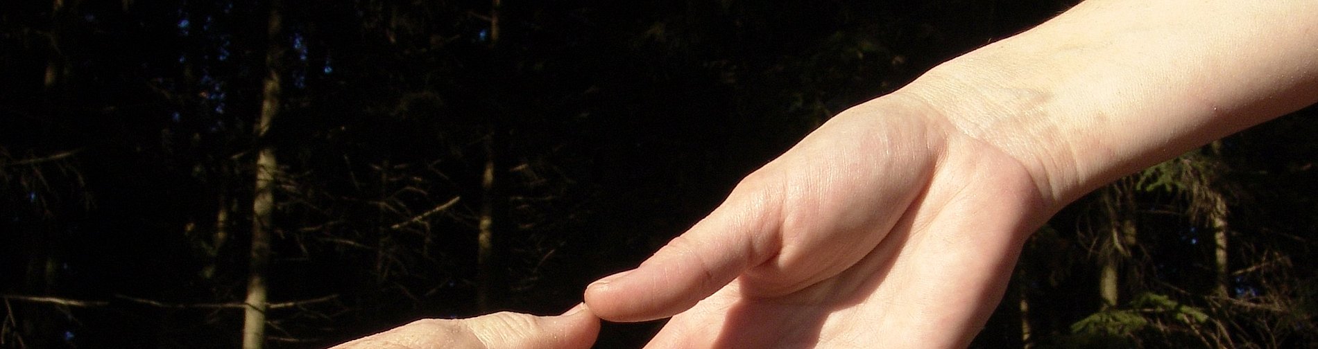 Hände werden gereicht zur Hilfe.