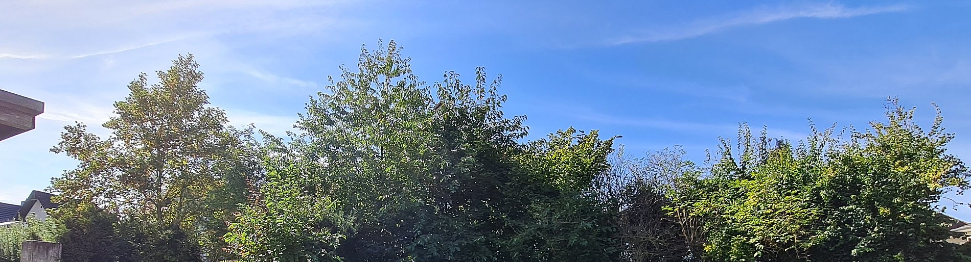 Pfarrgarten St. Martin in Idstein