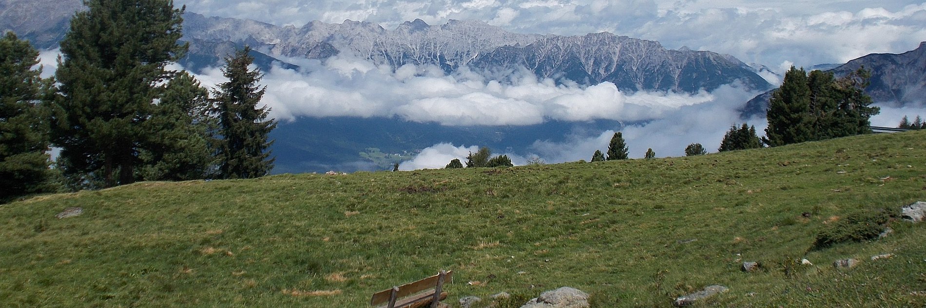 Wiese mit einer Ruhebank und Bergblick
