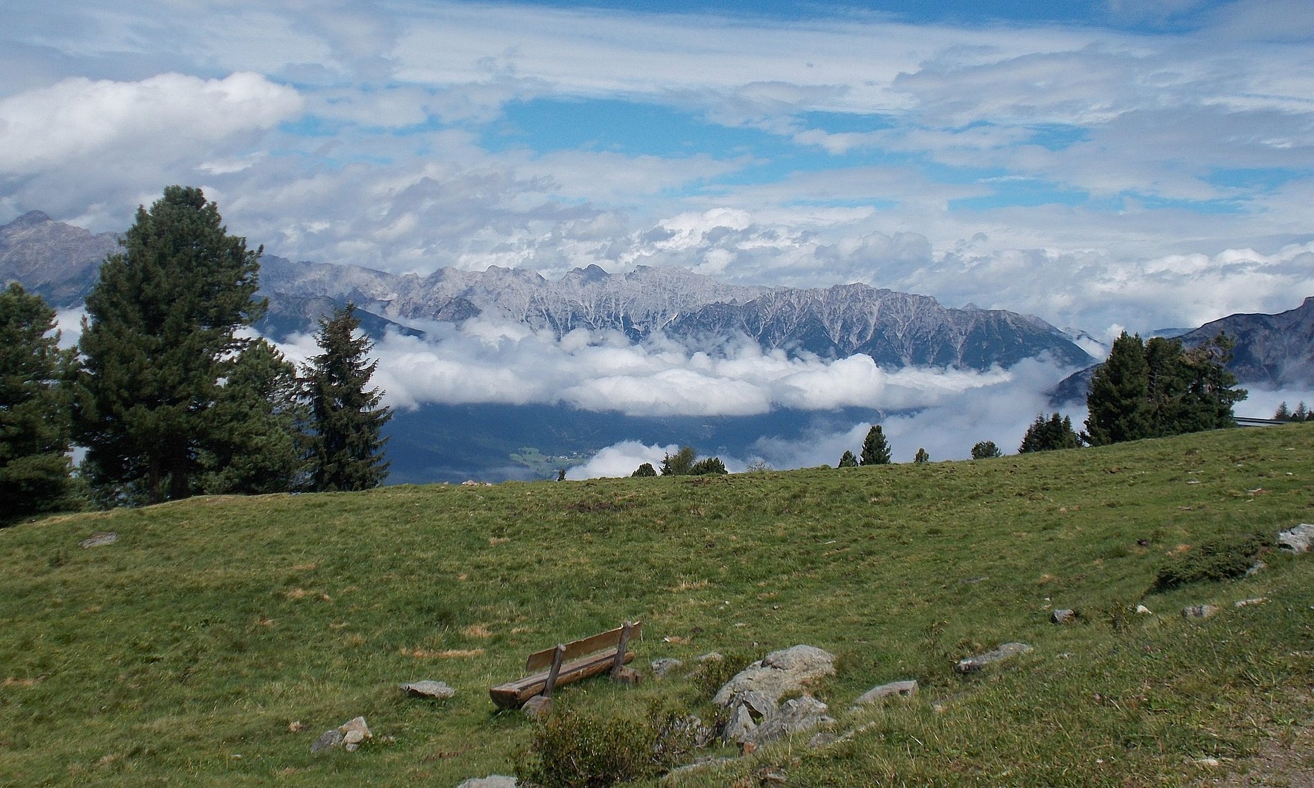 Wiese mit einer Ruhebank und Bergblick