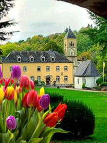 Collage mit einem Foto von Schönstatt, Tulpen und dem Logo Pilger der Hoffnung