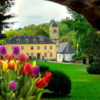 Collage mit einem Foto von Schönstatt, Tulpen und dem Logo Pilger der Hoffnung